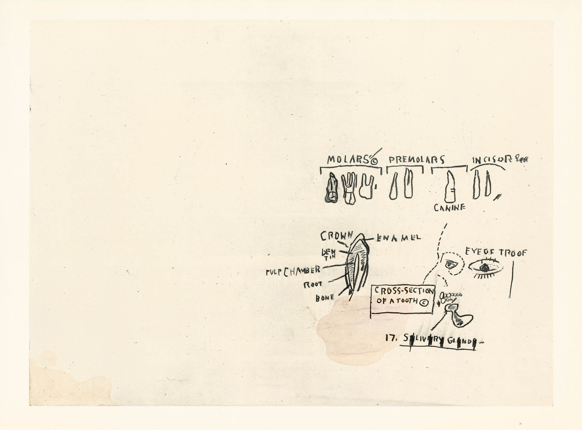 Jean-Michel Basquiat (American, 1960-1988)Eye of Troof