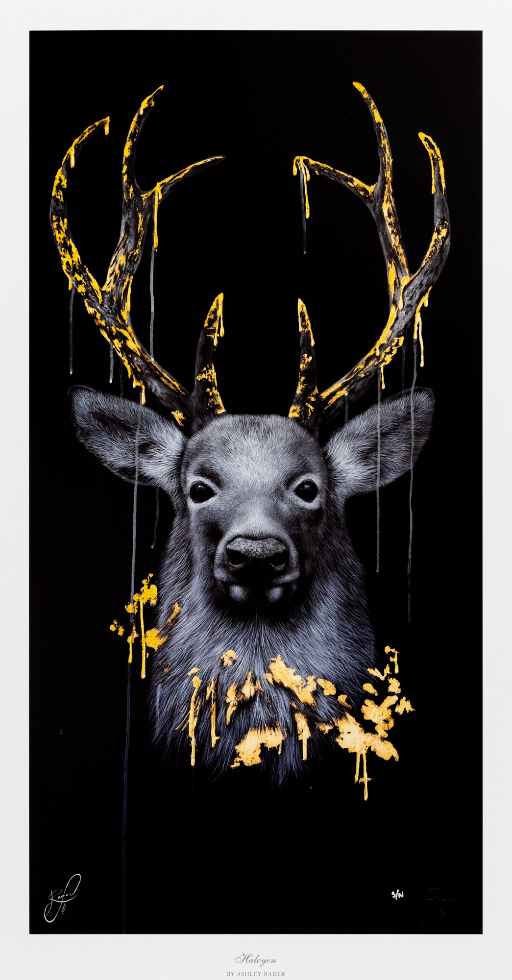 Ashley Rader (American, b.1990), Halcyon